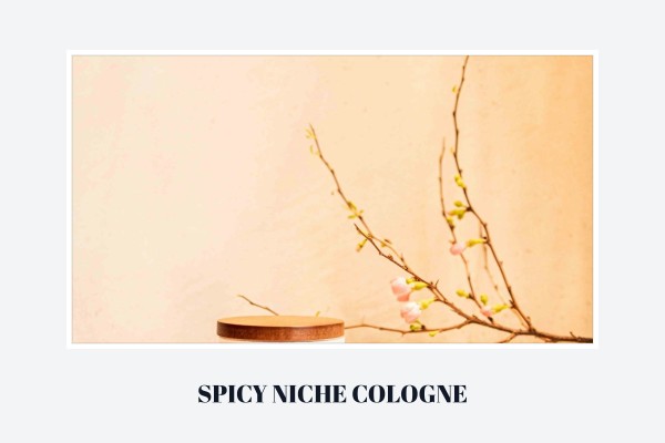 spicy niche cologne