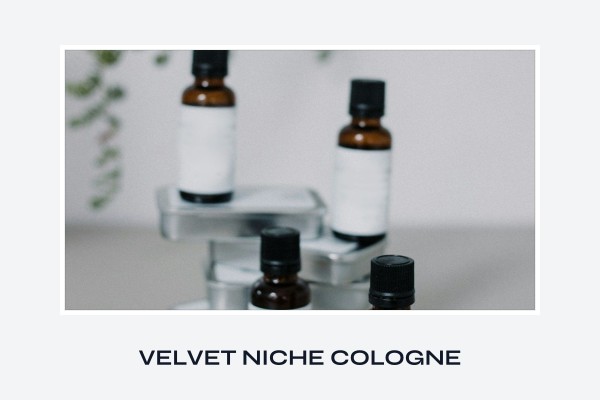 velvet niche cologne